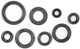 Athena motor-keerring set motorshield ns 125 r,