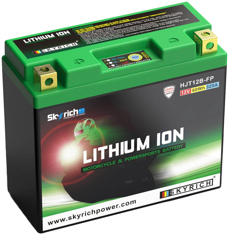 Load image into Gallery viewer, Skyrich lifepo4 batterie hjt12b-fp battery hjt12b-fp-si lithium
