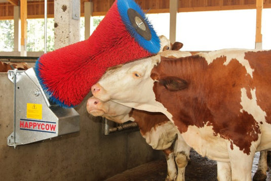 Happycow koeborstel uno horizontaal