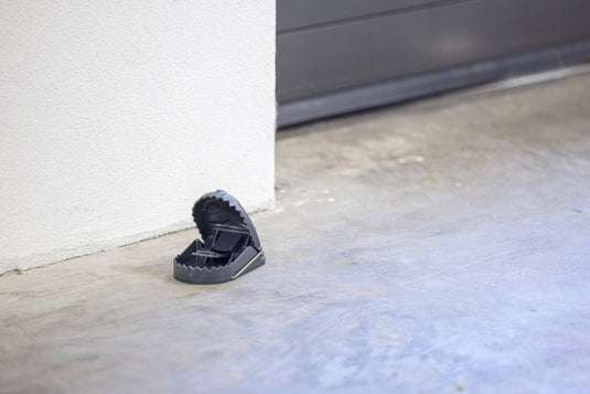 Producten rattenval kunststof cit ratstop