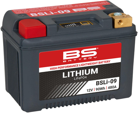Bs-battery lifepo4 batterij bsli-09 battery li09 bs lithium