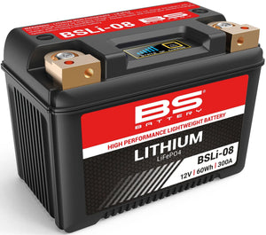 Bs-battery lifepo4 batterij bsli-08 battery li08 bs lithium