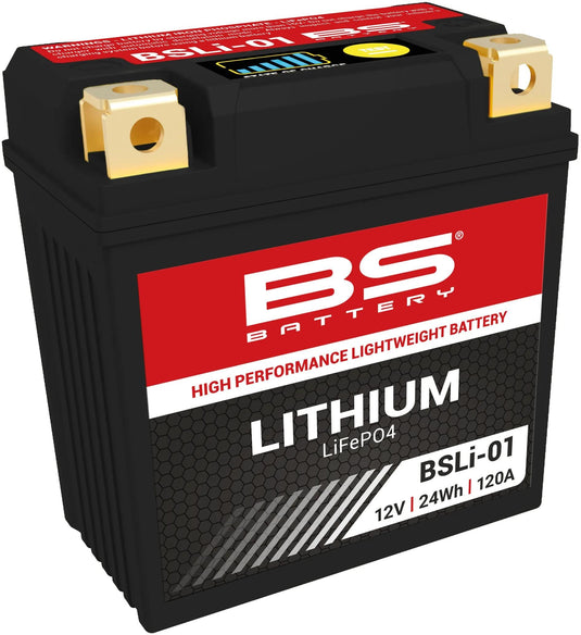 Bs-battery lifepo4 batterie bsli-01 battery li01 bs lithium