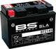Bs-battery batterij btz14s btz14s-bs battery btz14s bs sla