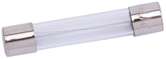Spahn glassicherung glass fuses 10a 6x32 mm (10pcs)