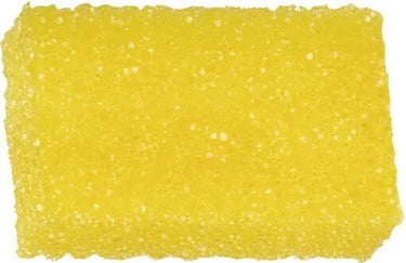 Autosol insectenspons insect foams