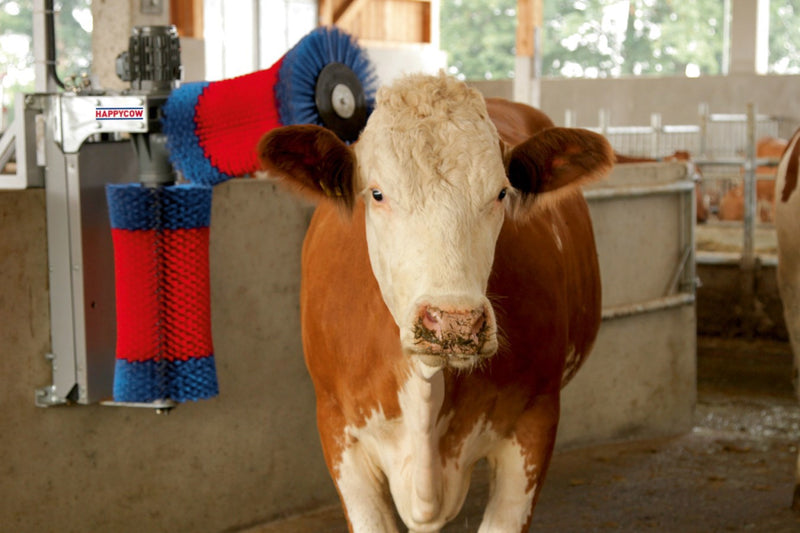 Load image into Gallery viewer, Happycow koeborstel duo
