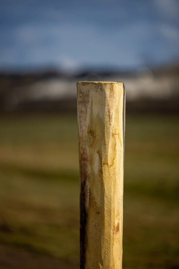 Load image into Gallery viewer, Ako producten robiniapaal hoek 250cm hoog 14 16cm

