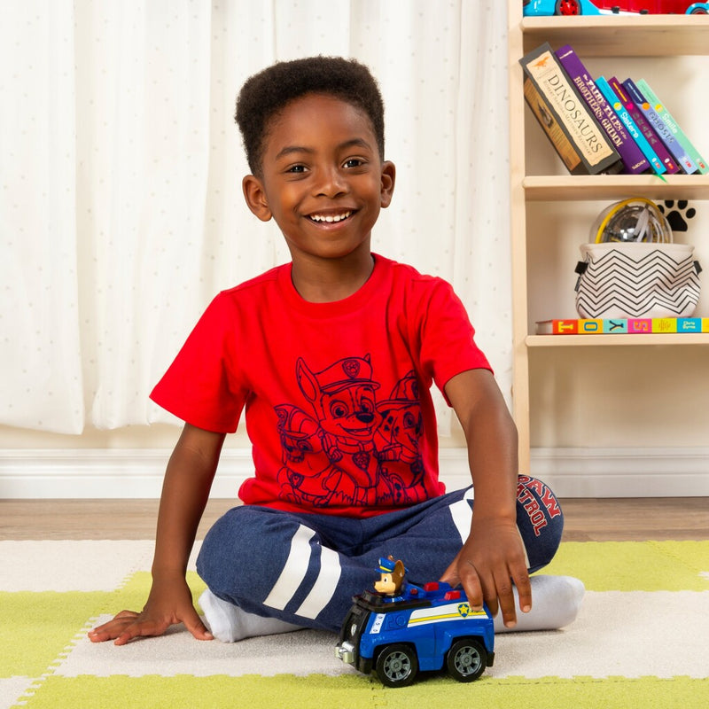 Load image into Gallery viewer, Paw Patrol Basic Vehicle Chase
