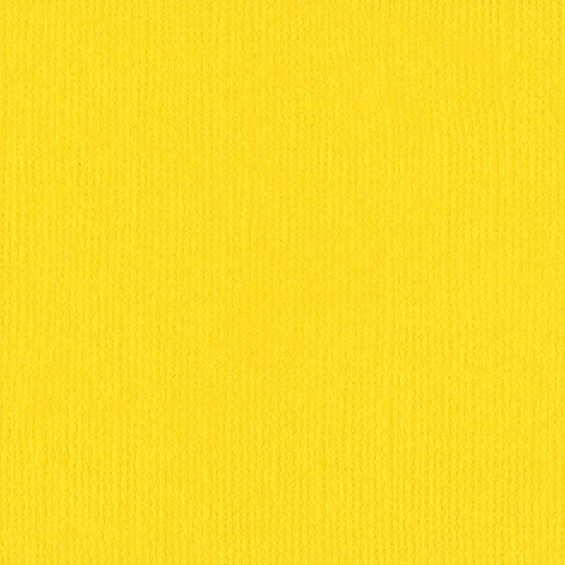 Load image into Gallery viewer, Bazzill • mono canvas 30,5x30,5cm yellow
