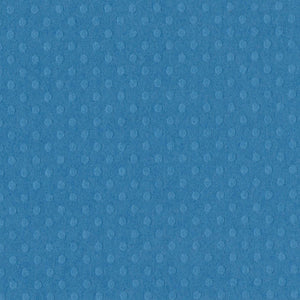 Bazzill • dot swiss 30,5x30,5cm surfs up