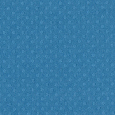Bazzill • dot swiss 30,5x30,5cm surfs up