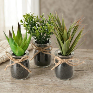 Boltze home sukkulente in pot ø10x17cm kunstplant in glazen potje