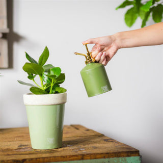 Load image into Gallery viewer, Esschert design plantenspuit groentinten assorti
