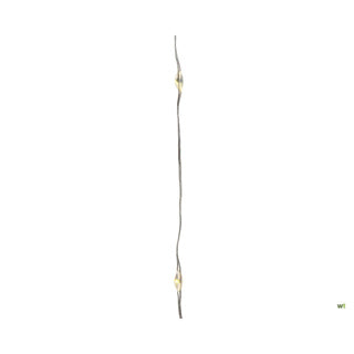 Lumineo zilverdraad warmwit; 295cm | 60 stuks