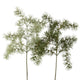Boltze home decoratietak pijnboom h62cm
