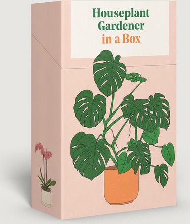 Houseplant gardener in a box