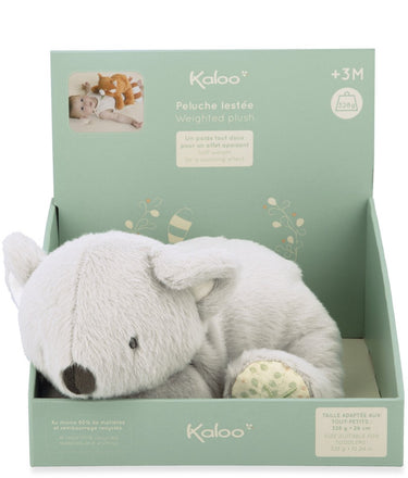 Kaloo petit songe - zware koala