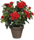 Mica decorations kunstplant - azalea - groen rood - 27 cm - met mooie bloemen