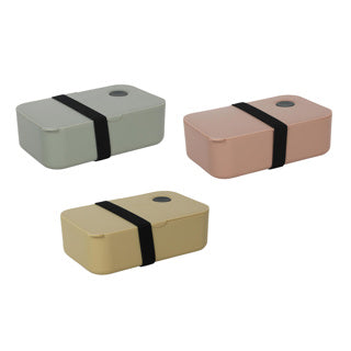 No brand lunchbox 19,5x11,5x6,5cm assorti | 3 stuks