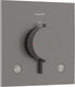 Hansgrohe ecostat comfort e - inbouwthermostaat - 2 functies - douche - brushed black chrome