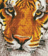 Diamond dotz® diamond dotz bengal magic - diamond painting - 18.250 dotz - 42x36 cm
