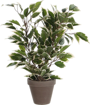 Mica decorations kunstplant ficus - 40 cm - groene kamerplant