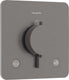 Hansgrohe ecostat comfort q - inbouwthermostaat - 2 functies - douche thermostaat - zekerheidscombinatie en1717 - brushed black chrome