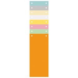 Geperforeerde karton tabbladen exacompta 1200 kleurenassortiment 105 x 240 mm