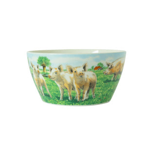 Load image into Gallery viewer, Wiebe van der zee kom 13 cm varken wiebe | 6 stuks
