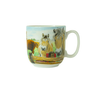 Wiebe van der zee beker xl paard 41 cl wiebe