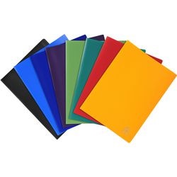 Showalbums 8510e kleurenassortiment 10 hoezen