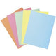 2-flap mappen exacompta 332100e karton