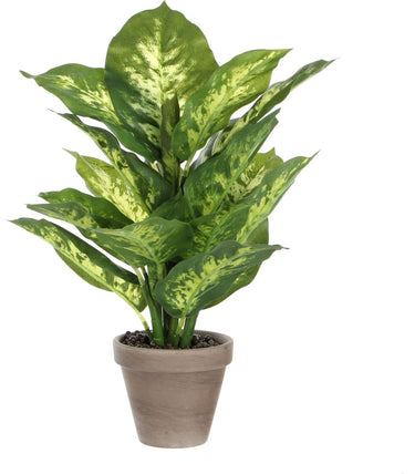 Mica decorations kunstplant dieffenbachia - groen - 40 cm - in pot - nepplant - kamerplant