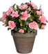 Mica decorations kunstplant - azalea - perzik - in pot - 31 cm - nepplanten