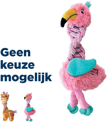 0035585503363