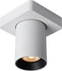 Lucide nigel - plafondspot (plafondlamp) - led dim to warm - gu10 - 1x5w 2200k 3000k - wit