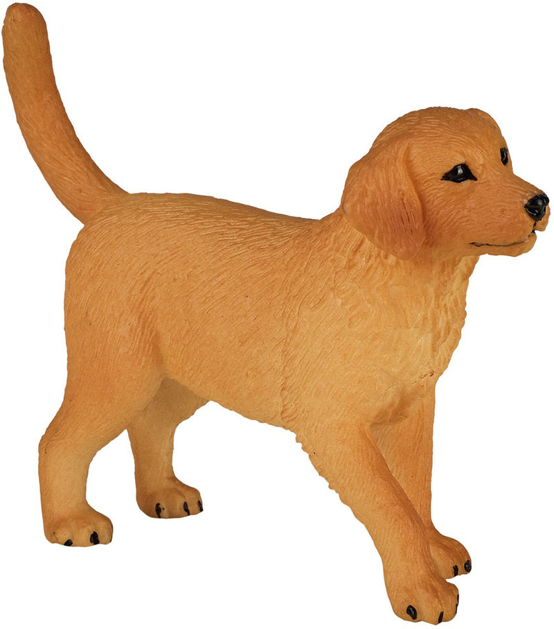 Load image into Gallery viewer, Mojo farmland golden retriever puppy - 387205
