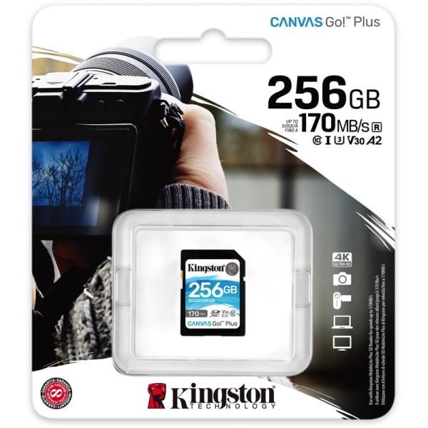 Load image into Gallery viewer, Kingston Canvas Go! Plus SDXC 256 GB
