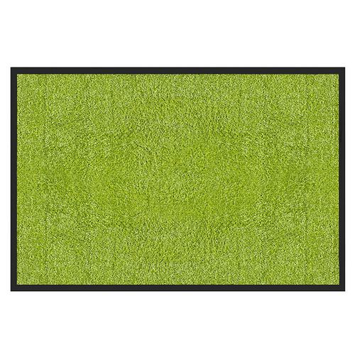 Droogloopmat color your life rhine groen