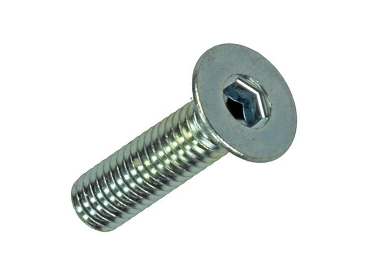 Load image into Gallery viewer, Mack 1017656 - binnenzeskant bout verz. kop verz. 12st m4x16 | 10 stuks
