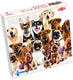 Tactic group of cute dogs – puzzel – 100 stukjes – vrolijke hondenillustratie – strak en rustgevend ontwerp – hoogwaardige scandinavische kwaliteit