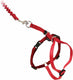 Petsafe easy walk cat harness met bungee leash - tuigje voor het uitlaten van je kat - rood of blauw - s m l - kleur: rood, maat: medium 27-36 cm