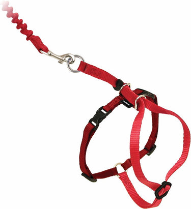 Petsafe easy walk cat harness met bungee leash - tuigje voor het uitlaten van je kat - rood of blauw - s m l - kleur: rood, maat: large 33-46 cm
