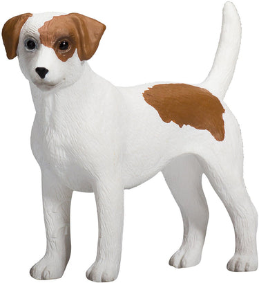 Mojo farmland jack russell terriër - 387286