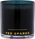 Ted sparks - geurkaars double magnum - 110 branduren - 4 lonten - luxe verpakking - bamboo peony