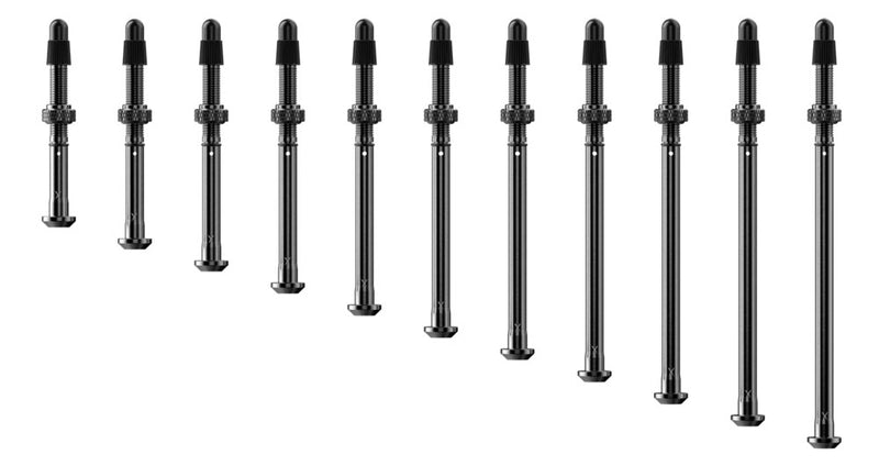 Load image into Gallery viewer, Quarq tyrewiz 2.0 tyre pressure valves 2 pieces | length i
