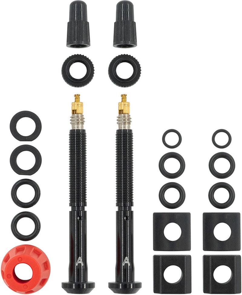 Afbeelding laden in galerijviewer, Quarq tyrewiz 2.0 tyre pressure valves 2 pieces | length g
