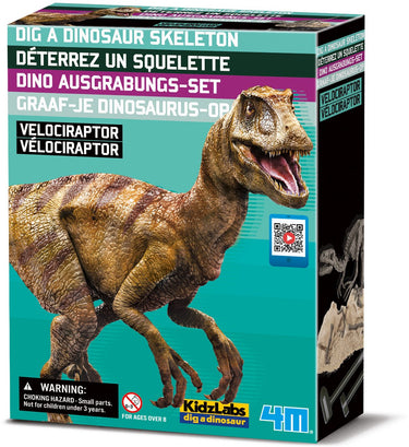4m graaf je dino op - velociraptor - opgraafkit en modelbouw skelet - kidzlabs - 8+