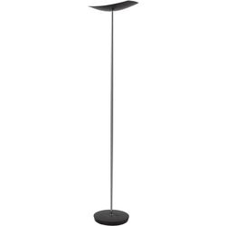 Vloerlamp alba cup led zwart